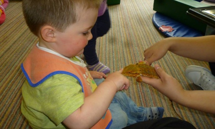 Nursery - babies play with reptiles 3