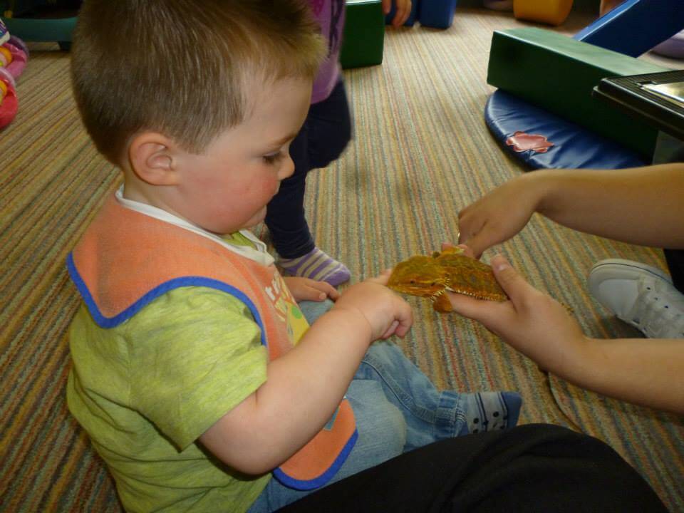 Nursery - babies play with reptiles 3